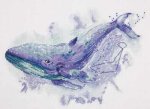(image for) Whale Constellation